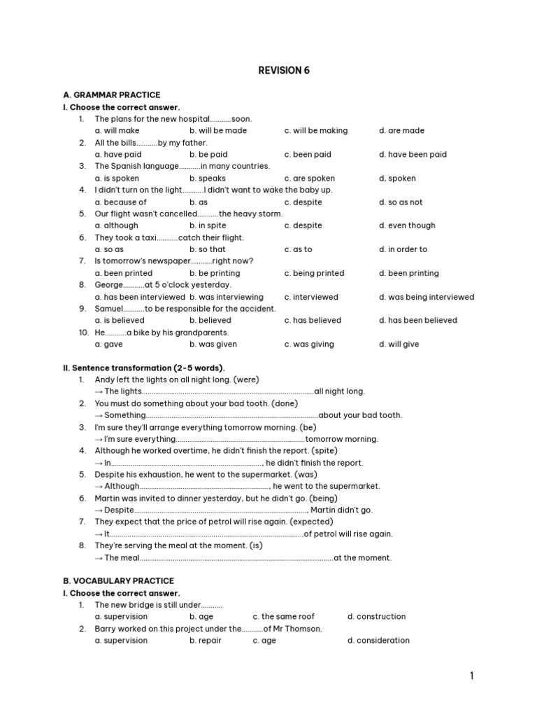 Grammar and Vocabulary Practice Test | PDF