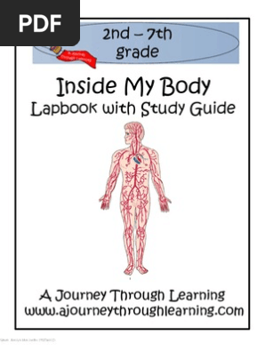 Inside My Body[1]