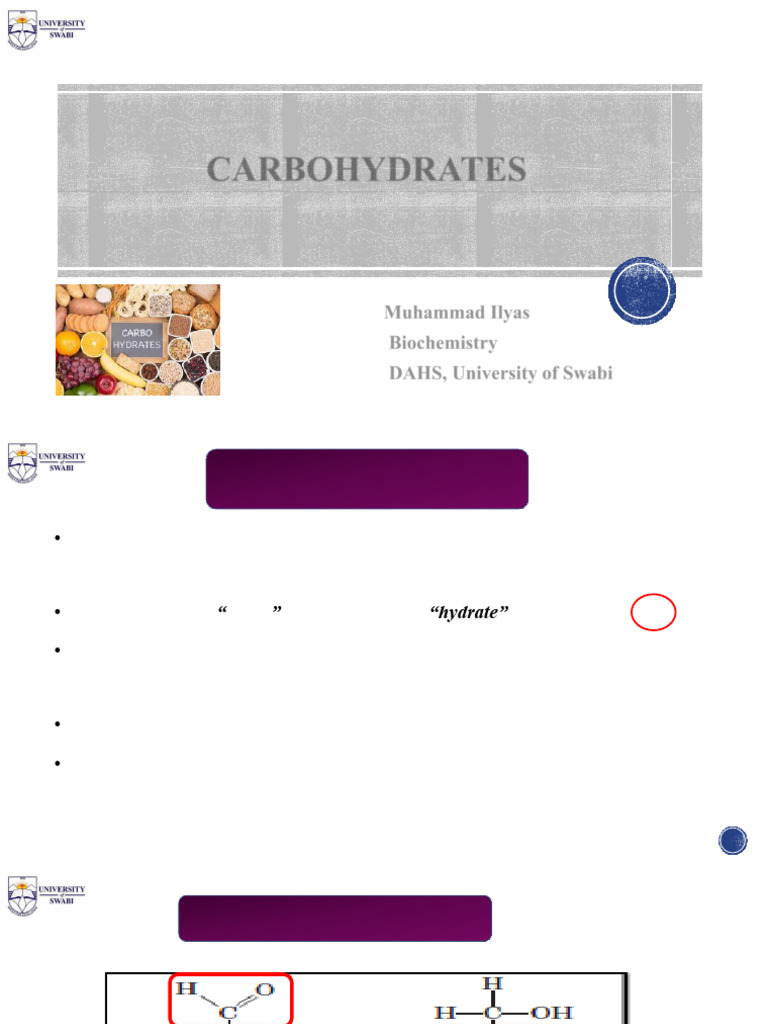 Understanding Carbohydrates: Types & Functions | PDF | Carbohydrates ...