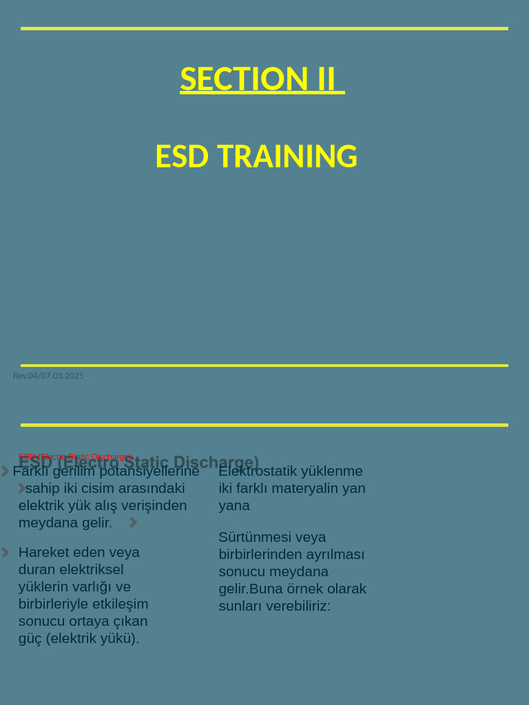 Esd Training | PDF