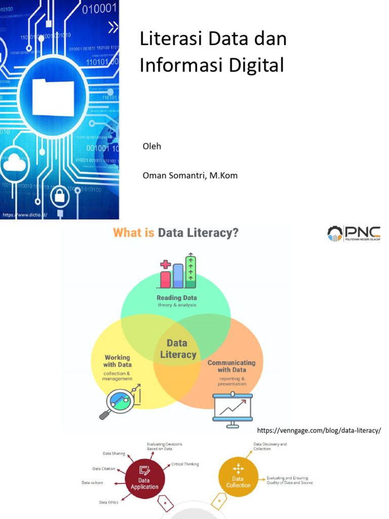 Panduan Literasi Data dan Digital | PDF