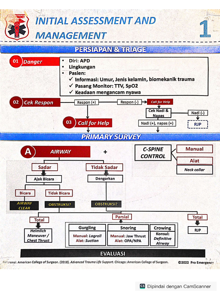 Initial Assessment Pro Emergency | PDF