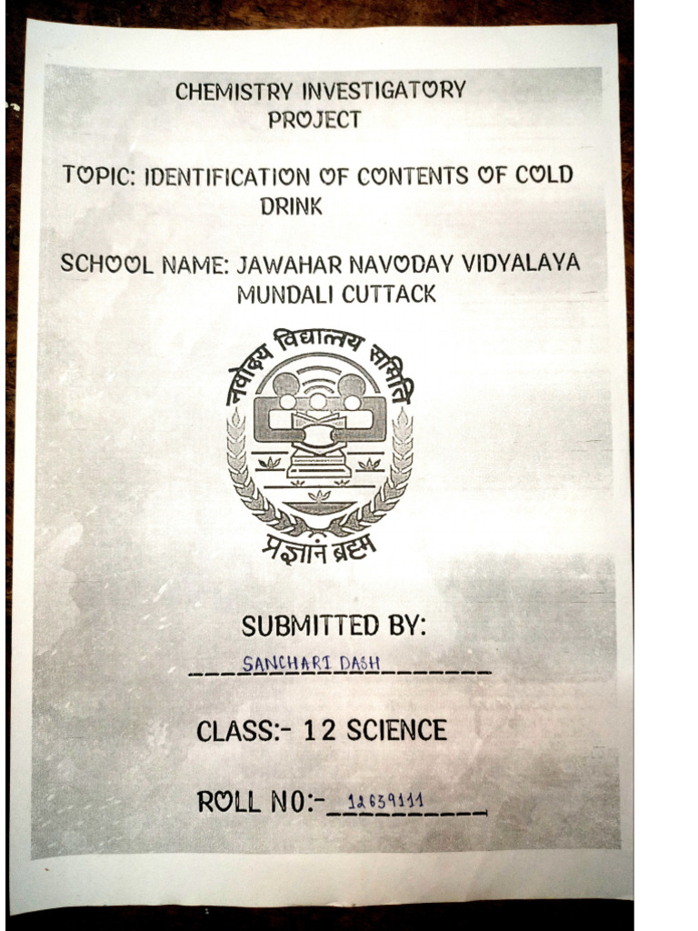 Project Sample | PDF