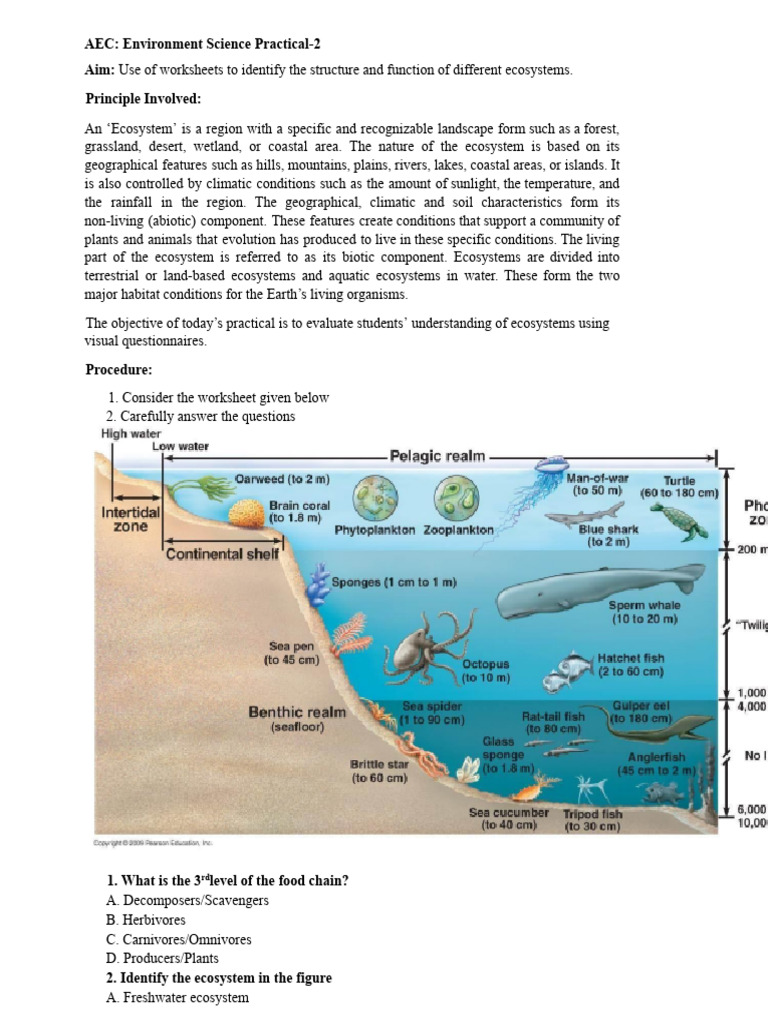 Ecosystem Structure and Function Quiz | PDF | Ecosystem | Ecology