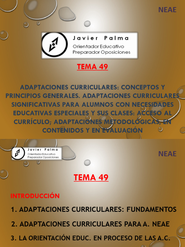 Adaptaciones Curriculares para NEAE | PDF | Plan de estudios | Aprendizaje