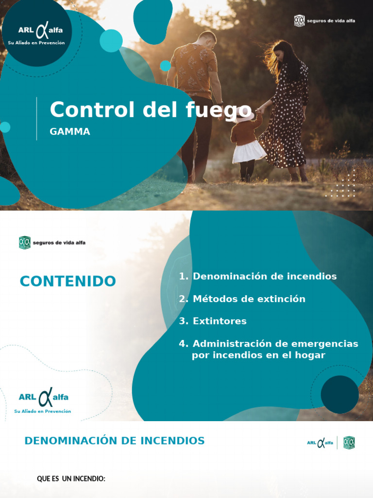 Control Del Fuego | PDF | Combustión | Incendios