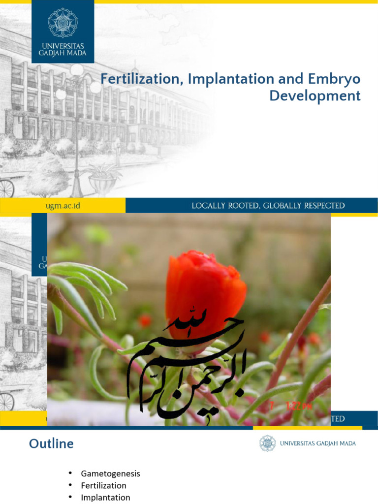 Fertilization, Implantation and Embryo Development: M. Mansyur Romi ...