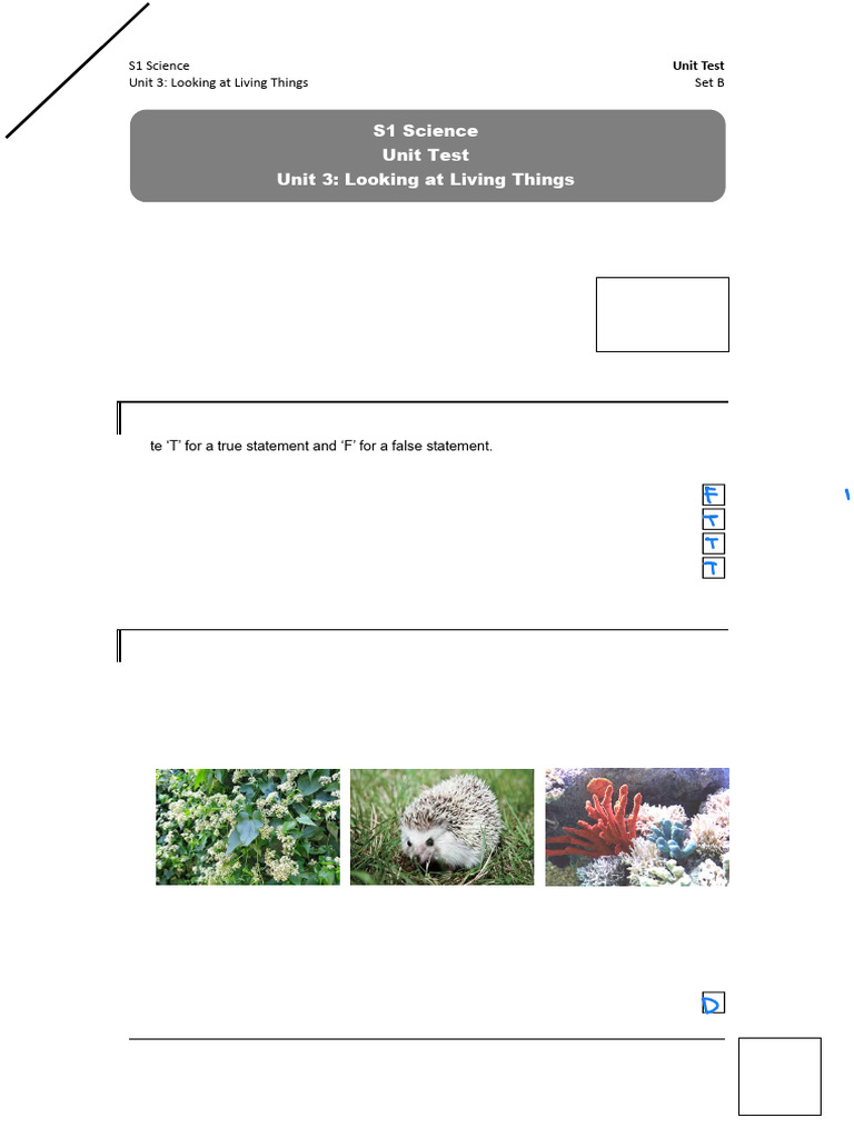 S1 Science Unit Test: Living Things | PDF | Conservation Biology ...