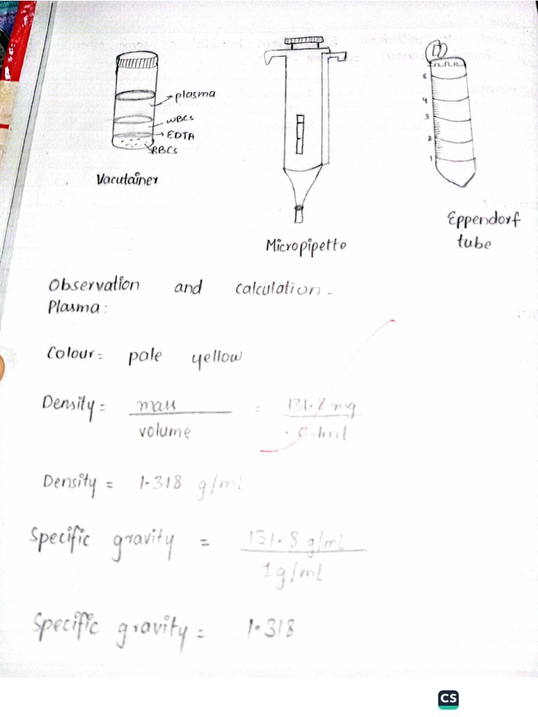 Physiology Practical 07 | PDF