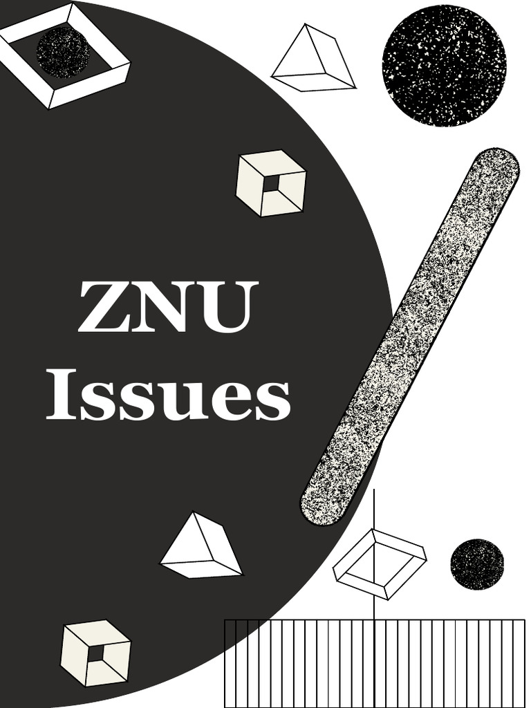 ZNU Issues (Final) | PDF