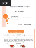 45235630-6º-ano-AGRESSOES-DO-MEIO-EXTERIOR-microbios-Prof-Carlos-Palma