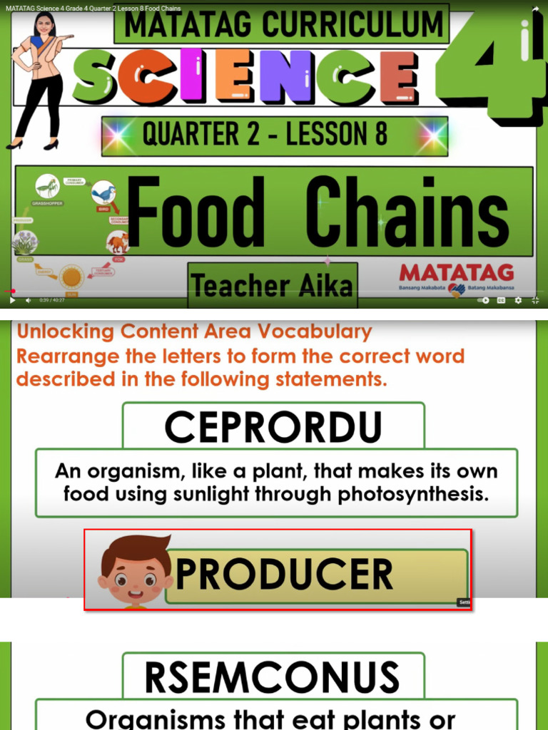 Science 4 Q2 Week 8 Lesson | PDF