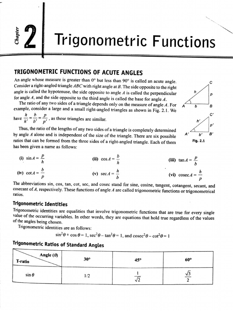 Trigonometry Cbse Board | PDF