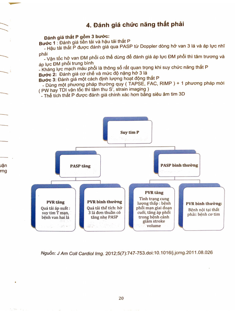 Satcr- Đánh Giá Chức Năng Thất Phải | PDF