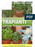 Trapianti Nell'orto 2012-4