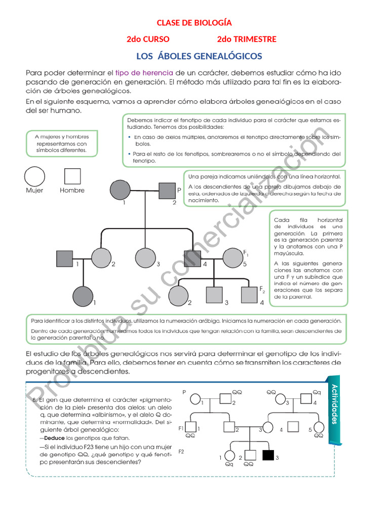 Resp de Biología 2do 2t 25 10 | PDF