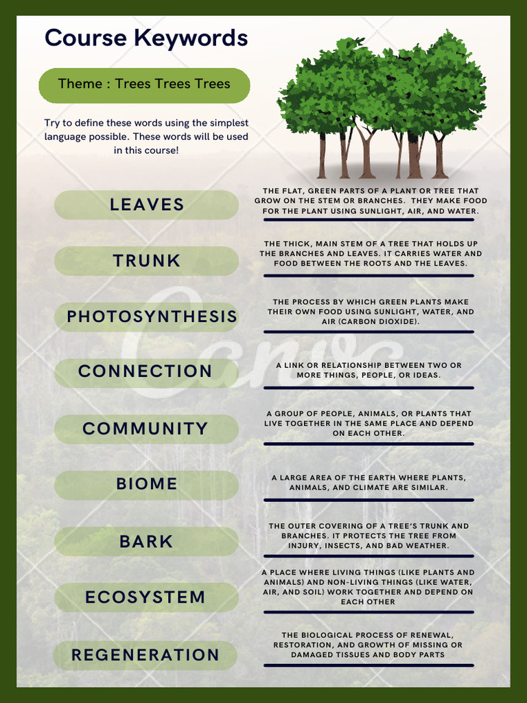 Trees Trees Trees | PDF | Trees | Plants