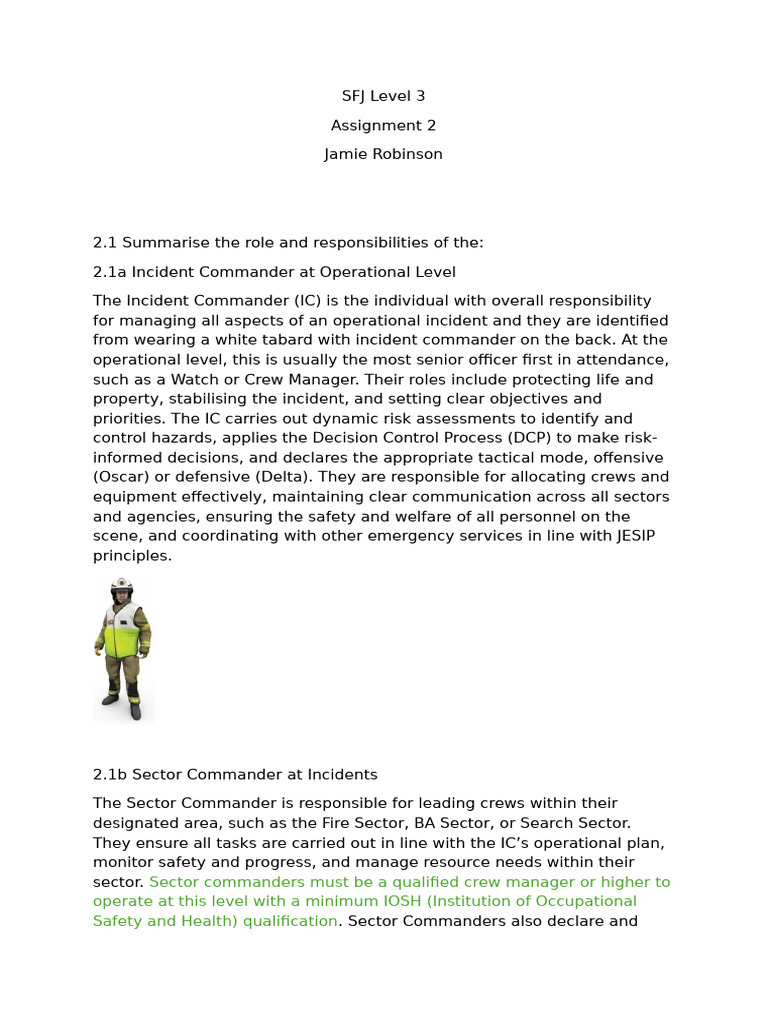 Role of Sector vs. Area Crisis Commanders | PDF | Crime Scene | Safety