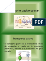 Transportepasivocelular 100609164822 Phpapp02