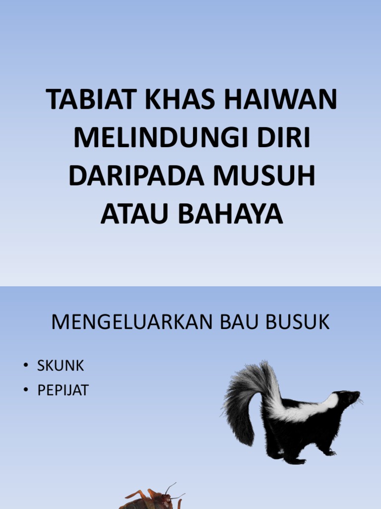 Tabiat Khas Haiwan Melindungi Diri Daripada Musuh Atau Pdf