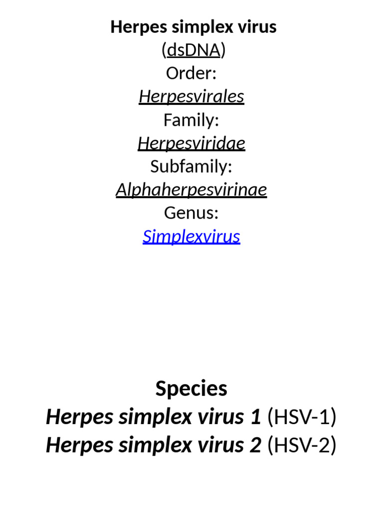Overview of Herpes Simplex Virus | PDF | Animal Diseases | Virus