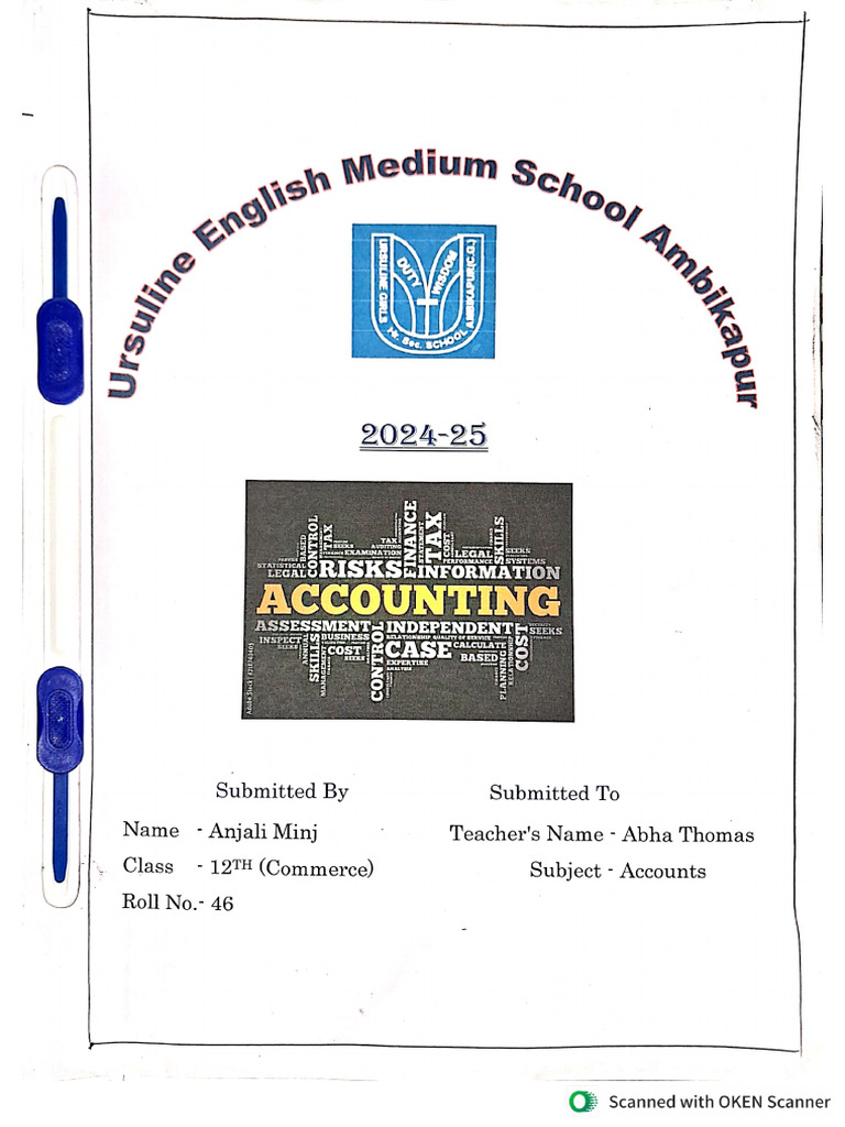 Accountancy Project | PDF