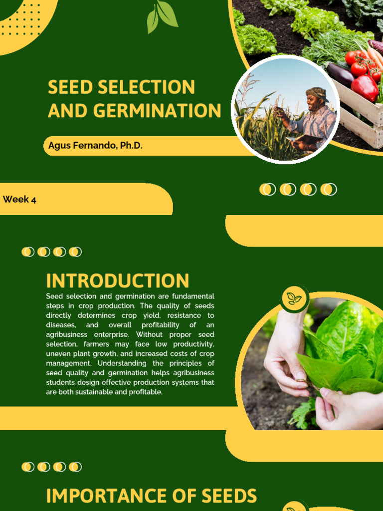 Seed Selection and Germination Guide | PDF | Seed | Germination