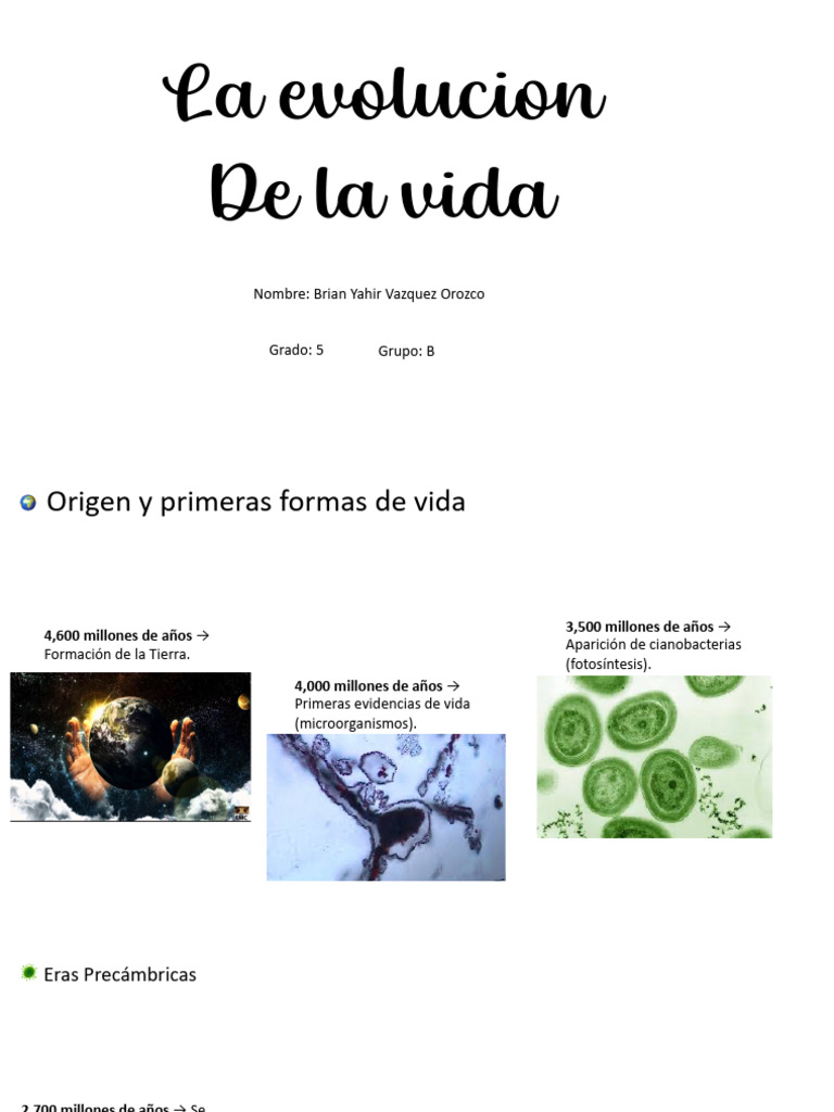 Origen y evolución de la vida | PDF | Evolución | Naturaleza