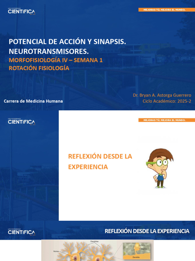 Clase 01 - Potencial de Acción, Sinapsis y Neurotransmisores | PDF ...