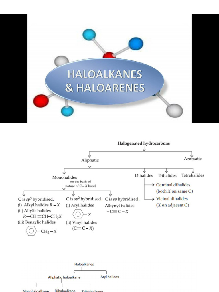 Haloalkanes and Haloarenes Xii | PDF | Chemical Reactions | Alkene