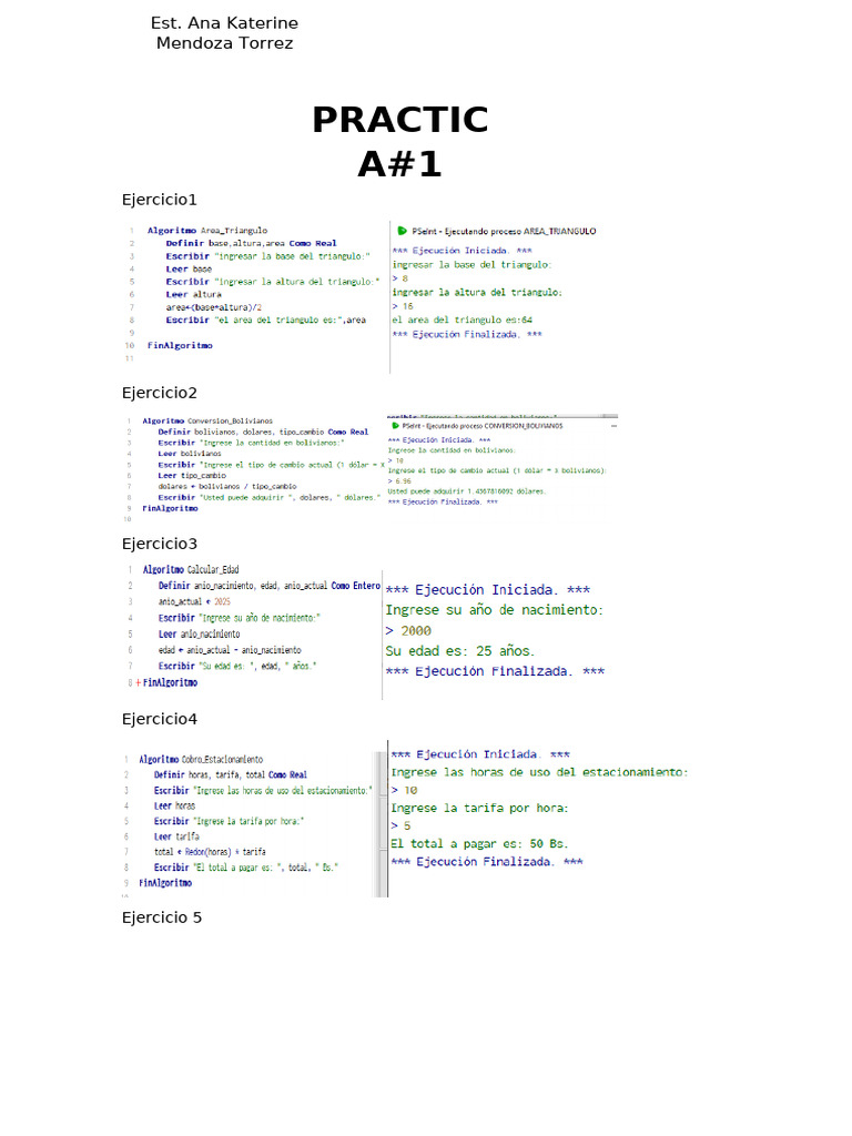 PRACTICA 1 Programacion | PDF