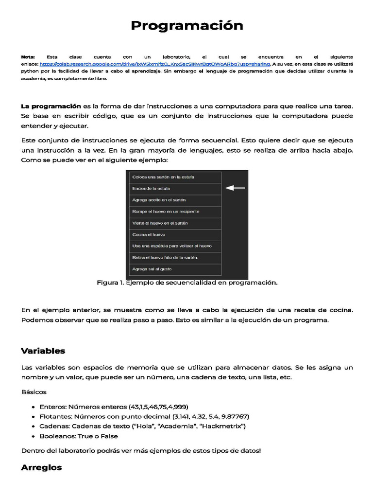 Introducción a la Programación en Python | PDF | Lenguaje de ...