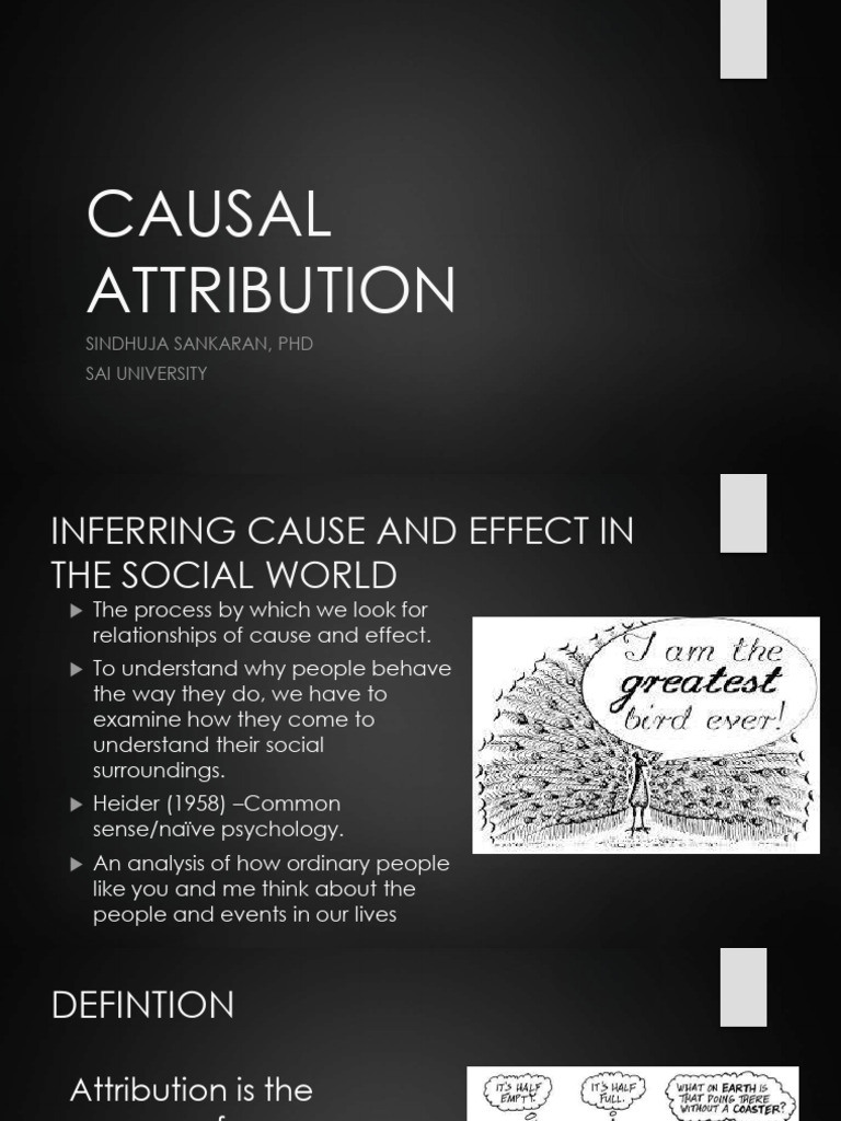 Casual Attribution Text Book | PDF | Psychology | Psychological Concepts
