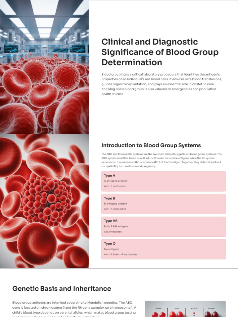Importance of Blood Group Testing | PDF | Blood Type | Immunology