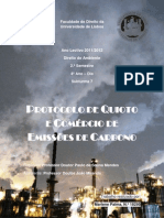 Protocolo de Quioto e Comércio de Emissões de Carbono
