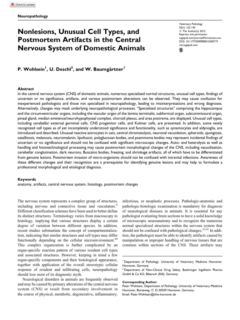 Wohlsein Et Al 2012 Nonlesions Unusual Cell Types and Postmortem ...