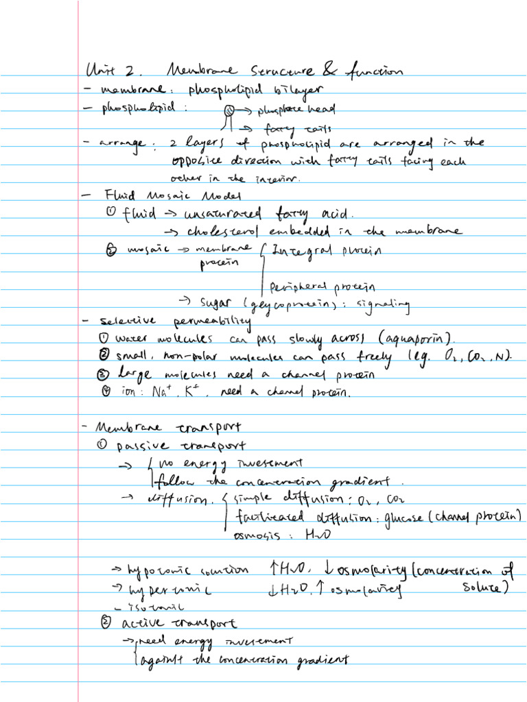 U2 Membranes Structure & Function | PDF