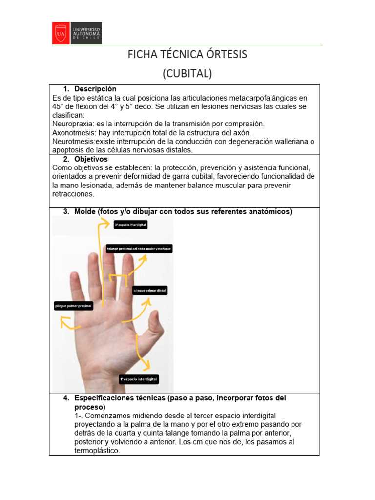Formato+Ficha+t%C3%A9cnica 3 PDF | PDF | Mano