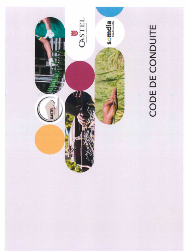 RCI - Code de Conduite 2025 - SolibraIdis - Paraphé DG | PDF
