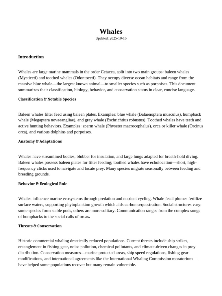Comprehensive Guide to Whales | PDF | Whales | Cetacea