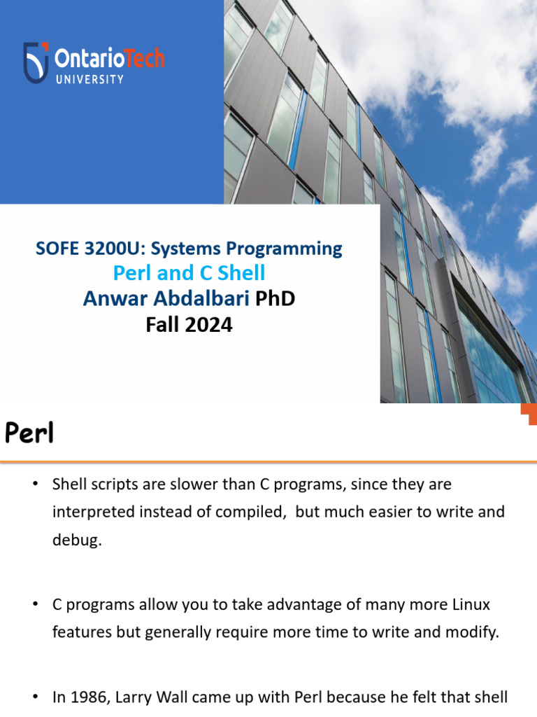 SOFE 3200U Week4 | PDF | Perl | Variable (Computer Science)
