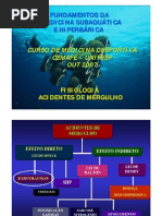 AULA - Mergulho1 - ME