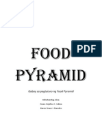 Food Pyramid Module