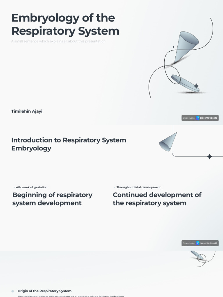 Embryology of The Respiratory System | PDF