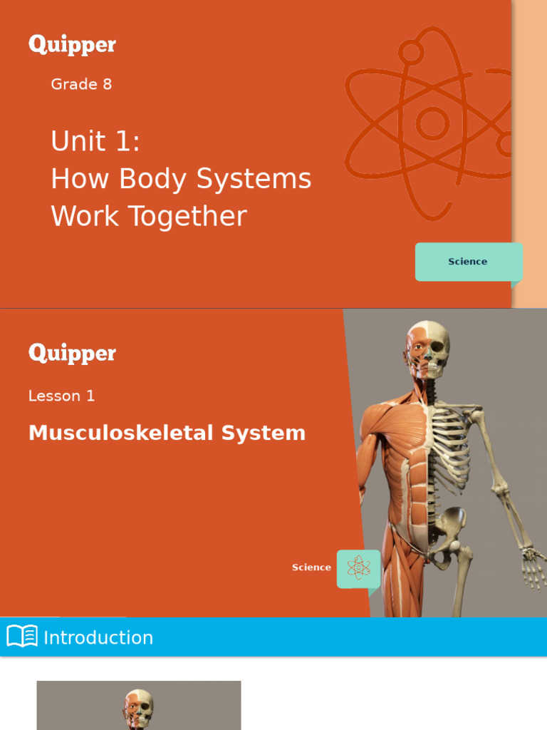 Understanding the Musculoskeletal System | PDF | Human Musculoskeletal ...