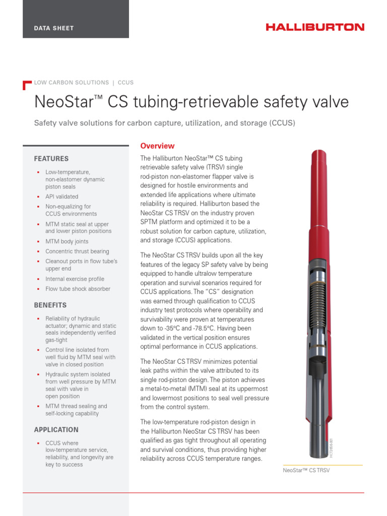NeoStar CS TRSV for CCUS Applications | PDF | Valve | Carbon Capture ...