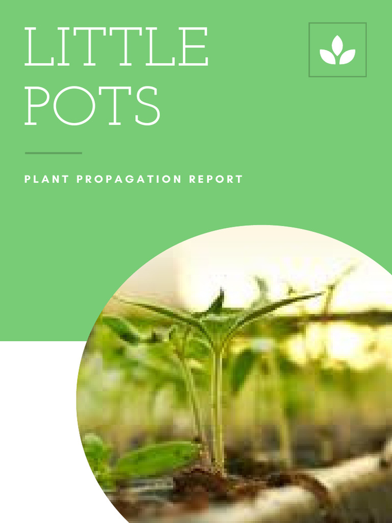 Plant Propagation Methods Report | PDF | Organisms | Agriculture