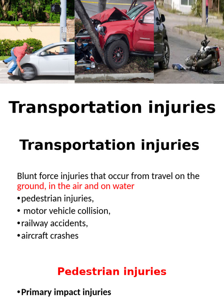 Understanding Transportation Injuries | PDF | Pelvis | Injury