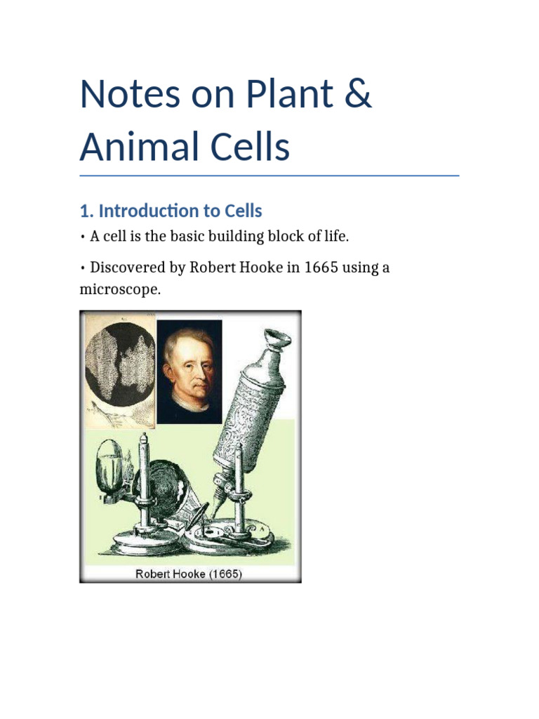 Plant and Animal Cell Overview | PDF | Cell (Biology) | Chloroplast