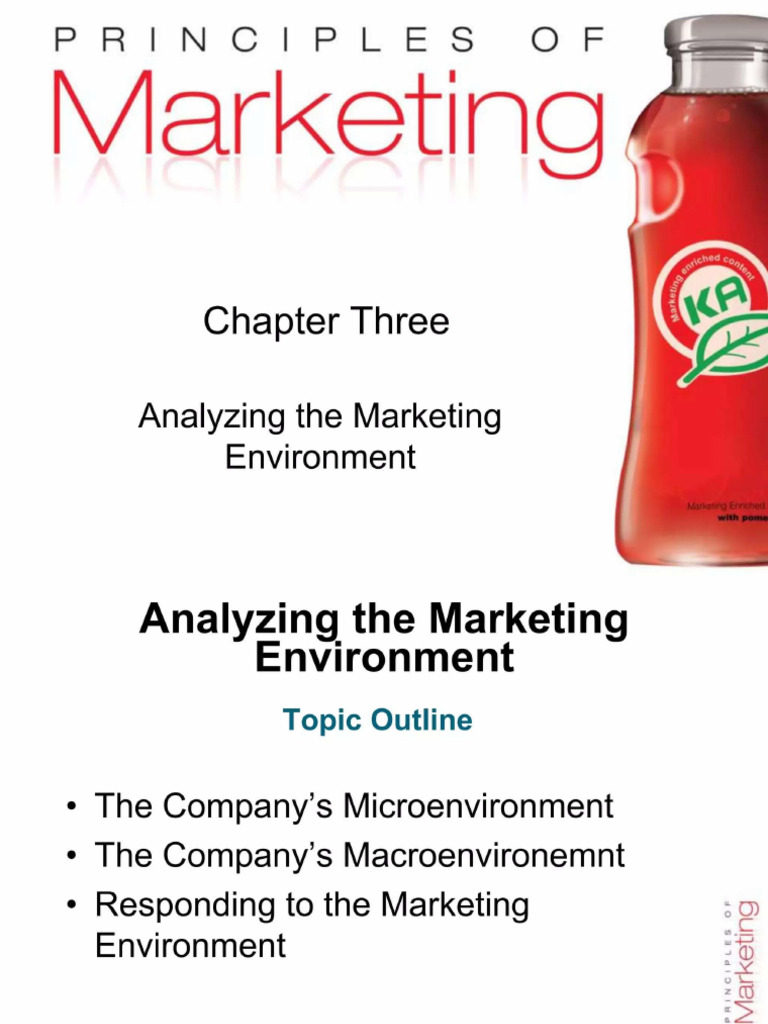 Chapter 3 - Analyzing The Marketing Environment | PDF